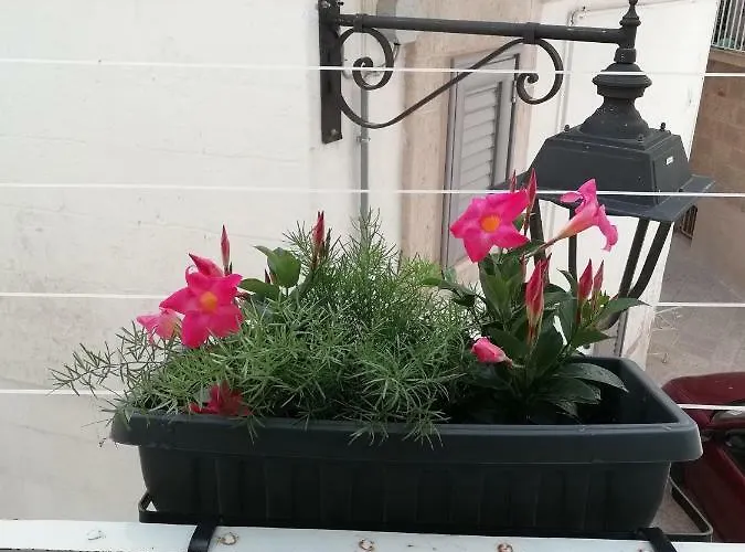 La Casetta Vico San Leonardo דירה