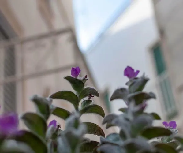 La Casetta Vico San Leonardo דירה